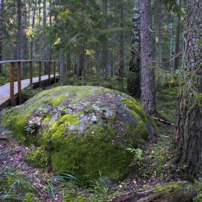 Akmens, dabas taka Kaltenes kalvas Akmens, dabas taka Kaltenes kalvas