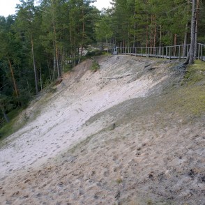 Pūrciema Baltās kāpas taka Pūrciema Baltās kāpas taka