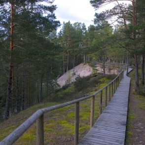 Pūrciema Baltās kāpas taka Pūrciema Baltās kāpas taka