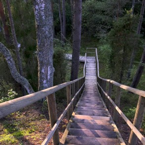 Pūrciema Baltās kāpas taka Pūrciema Baltās kāpas taka