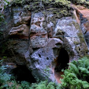 Sandstone Outcrops On The Sarkanās Cliffs Nature Trail Sandstone Outcrops On The Sarkanās Cliffs Nature Trail
