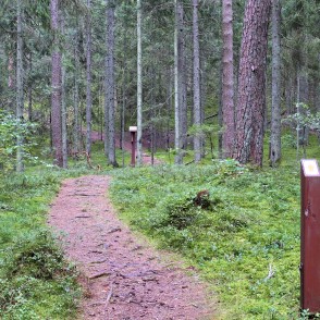 Paplatelė cognitive trail with an information sign among conifer trees Paplatelė cognitive trail with an information sign among conifer trees