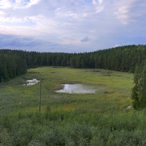 Panoramic landscape with wetlands and forest under a cloudy sky Panoramic landscape with wetlands and forest under a cloudy sky