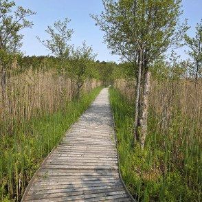 Gājēju laipa Būšnieku ezerā Gājēju laipa Būšnieku ezerā