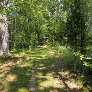 Dziļezera - Riebezera dabas taka Dziļezera - Riebezera dabas taka