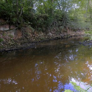 Dolomīta atsegumi Vizlas upes krastā Dolomīta atsegumi Vizlas upes krastā