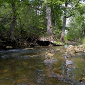 Vizlas upes ainava Vizlas upes ainava