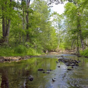 Vizlas upes ainava Vizlas upes ainava