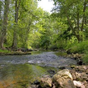 Vizlas upes ainava Vizlas upes ainava