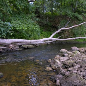 Vizlas upes ainava Vizlas upes ainava