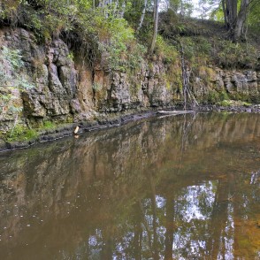 Dolomīta atsegumi Vizlas upes krastā Dolomīta atsegumi Vizlas upes krastā