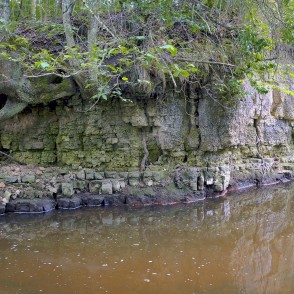 Dolomīta atsegumi Vizlas upes krastā Dolomīta atsegumi Vizlas upes krastā