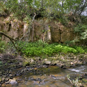 Dolomīta atsegumi Vizlas upes krastā Dolomīta atsegumi Vizlas upes krastā
