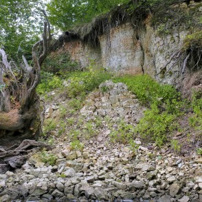 Dolomīta atsegumi Vizlas upes krastā Dolomīta atsegumi Vizlas upes krastā