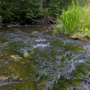 Vizlas upes ainava Vizlas upes ainava