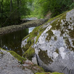 Skats no Vizlas dižakmeņa Skats no Vizlas dižakmeņa