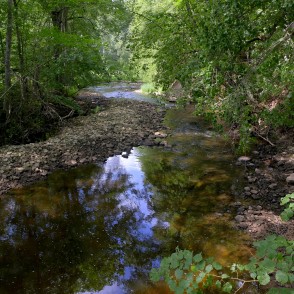 Vizlas upes ieteka Gaujā Vizlas upes ieteka Gaujā