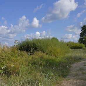Kaltenes putnu vērošanas taka Kaltenes putnu vērošanas taka