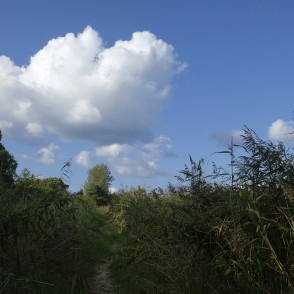 Kaltenes dabas taka Kaltenes dabas taka