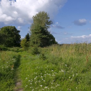 Kaltenes dabas taka ar putnu vērošanas torn Kaltenes dabas taka ar putnu vērošanas torn