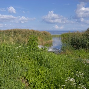 Kaltenes dabas taka Kaltenes dabas taka