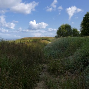 Kaltenes dabas taka Kaltenes dabas taka