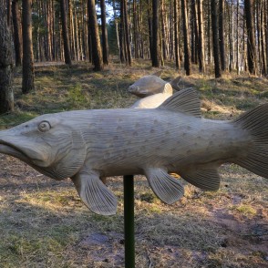 Koka zivs skulptūra pie Būšnieku ezera takas Koka zivs skulptūra pie Būšnieku ezera takas