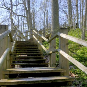 Embūtes dabas taka Embūtes dabas taka