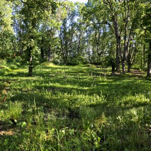 Mežotnes senvietu kompleks Mežotnes senvietu kompleks