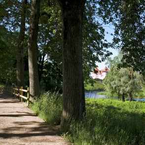 Bauskas dabas taka Bauskas dabas taka