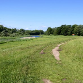 Bauskas Pilskalna Parka ainava Bauskas Pilskalna Parka ainava