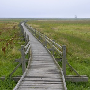 Liepājas ezera laipa Liepājas ezera laipa