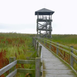 Liepājas ezera laipas putnu vērošanas tornis Liepājas ezera laipas putnu vērošanas tornis
