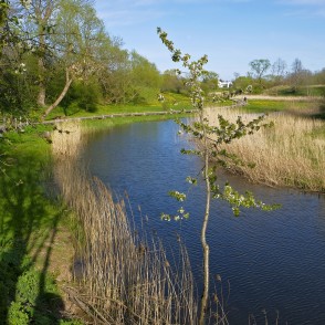 Pastaigu taka gar Ālandes upi Pastaigu taka gar Ālandes upi
