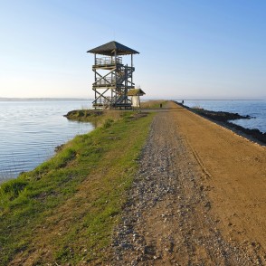 Liepājas ezera Zirgu salas tornis Liepājas ezera Zirgu salas tornis
