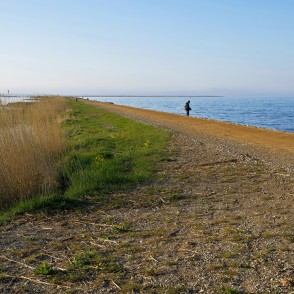 Zirgu salas taka Liepājā Zirgu salas taka Liepājā
