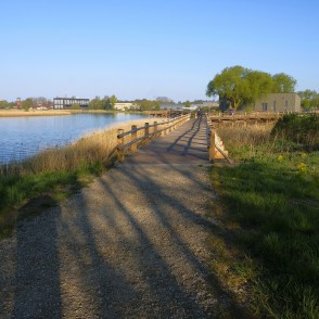 Zirgu salas taka Liepājā Zirgu salas taka Liepājā