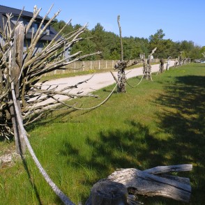 Žogs Papes Ķoņu ciemā Žogs Papes Ķoņu ciemā