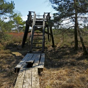 Skatu platforma Nides purvā Skatu platforma Nides purvā