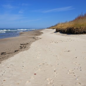 Jūras piekraste starp Nidu un Papi Jūras piekraste starp Nidu un Papi