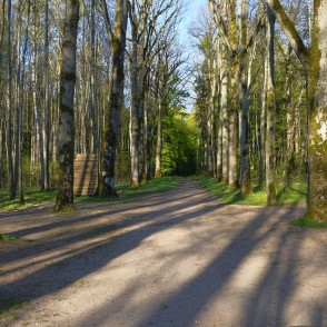 Kalētu mežaparka takas Kalētu mežaparka takas