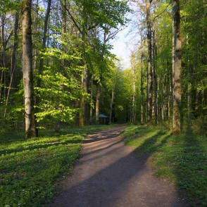 Kalētu mežaparka takas Kalētu mežaparka takas