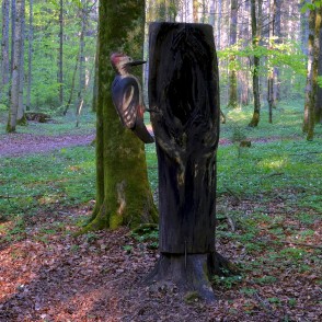 Dzeņa skulptūra Kalētu mežaparkā Dzeņa skulptūra Kalētu mežaparkā