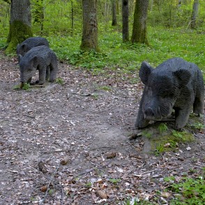 Sivēnu skulptūra Kalētu mežaparkā Sivēnu skulptūra Kalētu mežaparkā