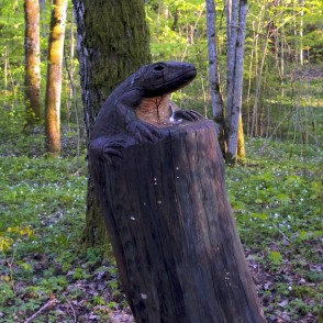 Ķirzakas skulptūra Kalētu mežaparkā Ķirzakas skulptūra Kalētu mežaparkā