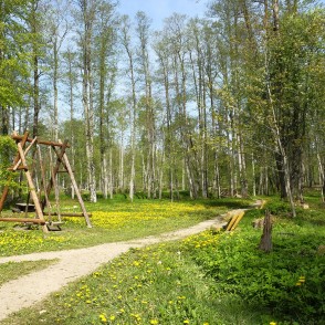 Remtes muižas parka takas Remtes muižas parka takas