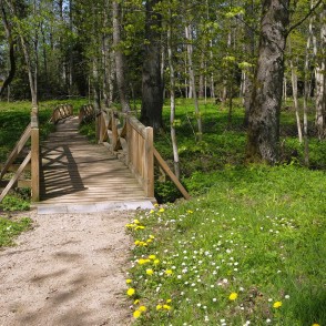Tiltiņi Remtes muižas parkā Tiltiņi Remtes muižas parkā