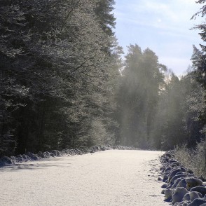 Šorīt uz Mušķiem neviens vēl nav braucis! Šorīt uz Mušķiem neviens vēl nav braucis!