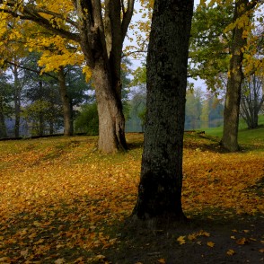 Alūksnes Pilssalas rudens ainava Alūksnes Pilssalas rudens ainava