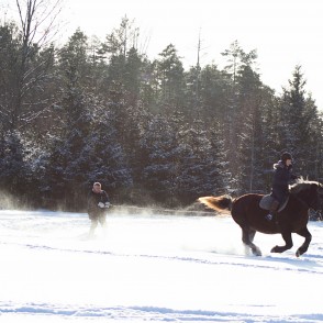 Skijorings Skijorings